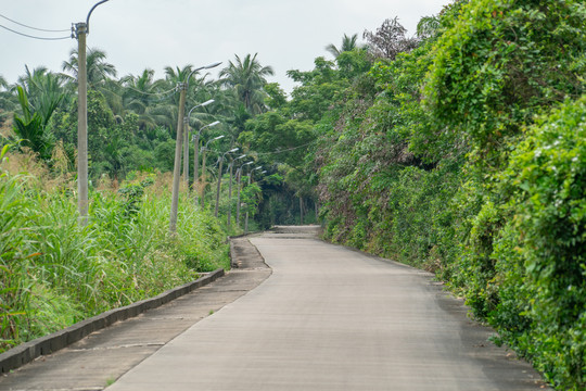 乡间小路