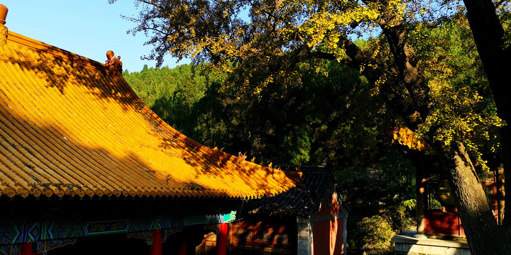 济南淌豆寺