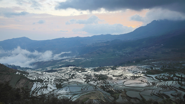 云南元阳梯田朝霞自然景观