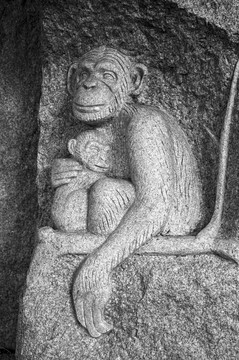 猴子石刻浮雕