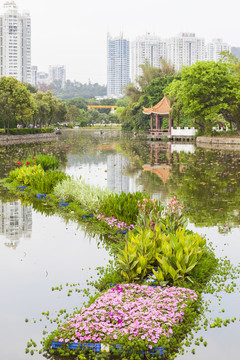 深圳洪湖公园