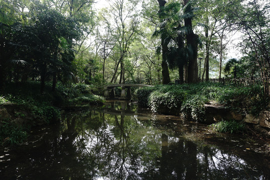 湿地湖泊