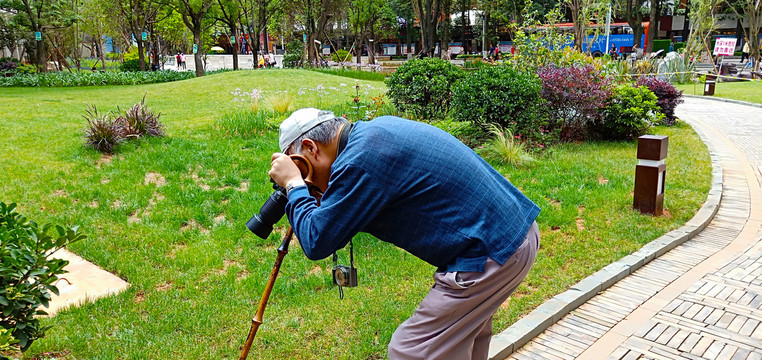 老有所乐