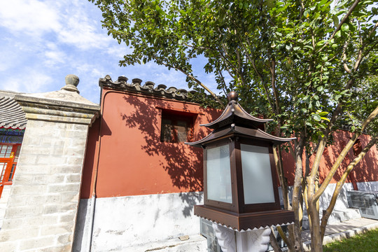 北京故宫红墙宫灯与古树