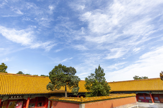 北京故宫的飞檐走兽及红墙黄瓦