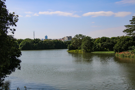 海珠湿地公园