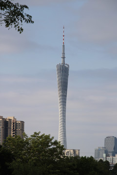 海珠湿地公园广州塔