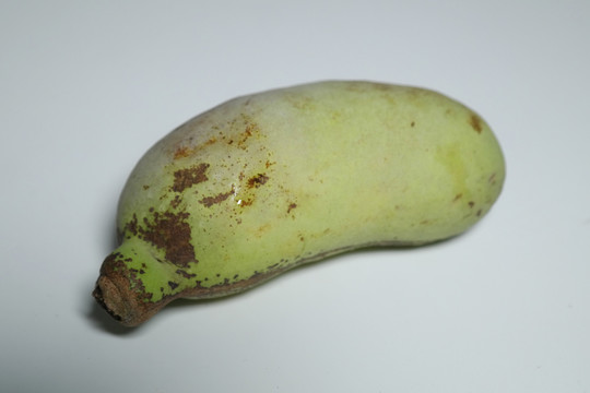 八月瓜