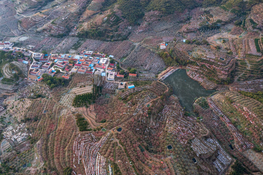 航拍沂蒙山区漫山遍野的果园