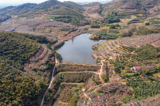 航拍沂蒙山区漫山遍野的果园