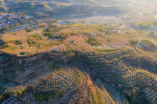 航拍沂蒙山区漫山遍野的果园