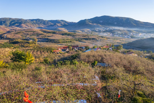 航拍沂蒙山区漫山遍野的果园