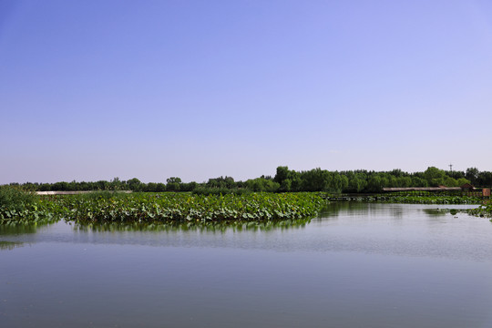 华北明珠白洋淀湿地公园