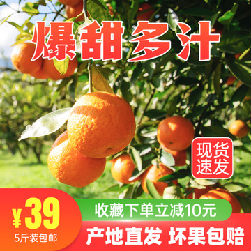 生鲜水果橘子直通车主图