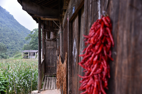 山里人家