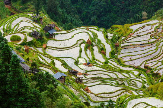 加榜梯田