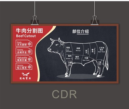 牛肉分割图