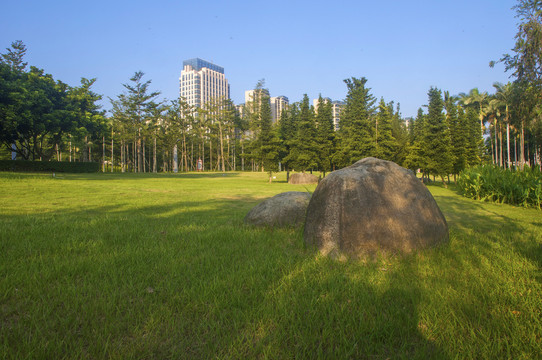 公园绿草坪风景