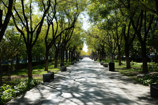 背景中轴线风景