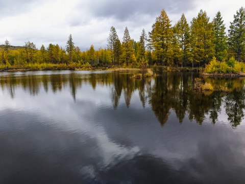 平静水面秋季树林倒影