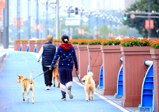 重庆江北区北滨路健身步道