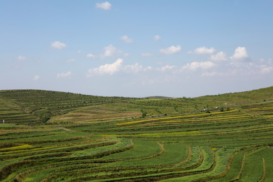 中国张北县草原风光里的村落