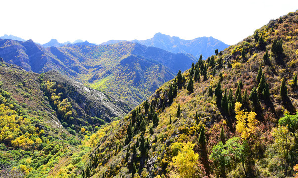 阴山风景