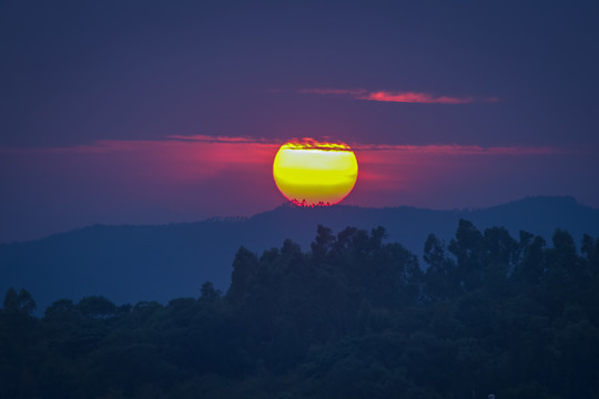 一抹夕阳红