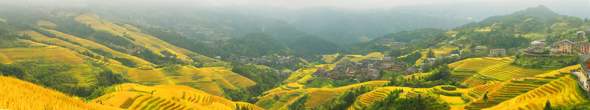 广西龙胜龙脊梯田全景图