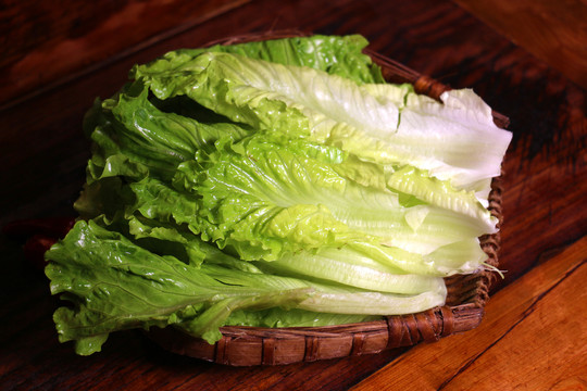 生菜