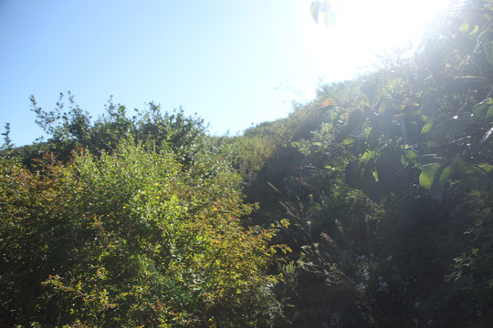 梁山武帝山