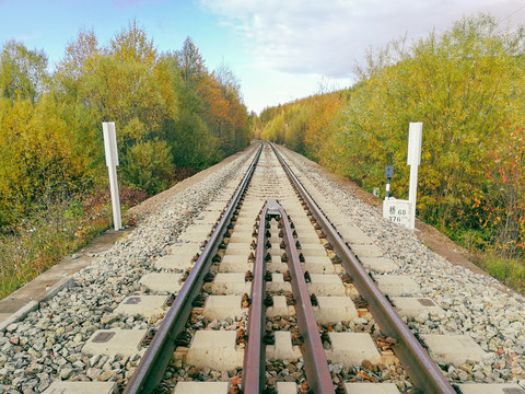 森林铁路