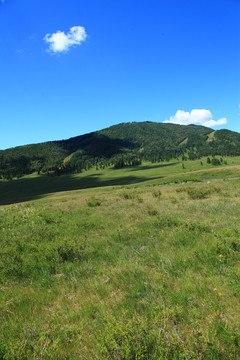 高山草场