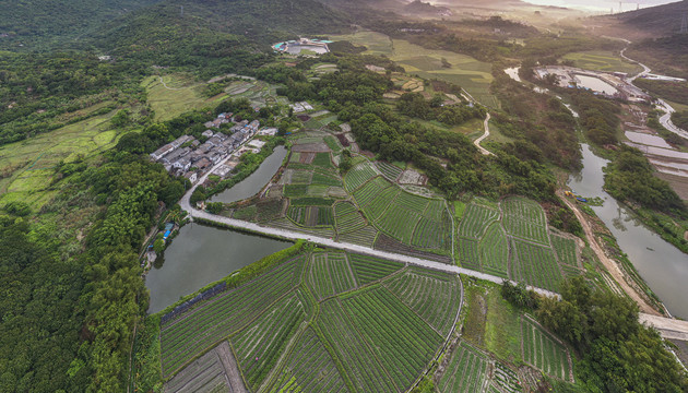 青山绿水就是金山银山