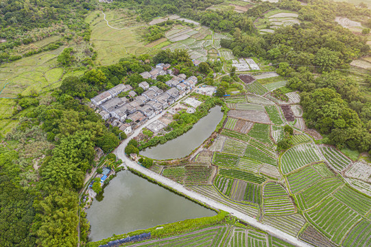 青山绿水就是金山银山