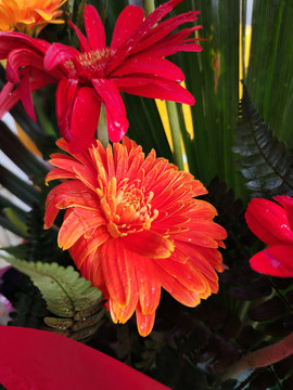鲜花