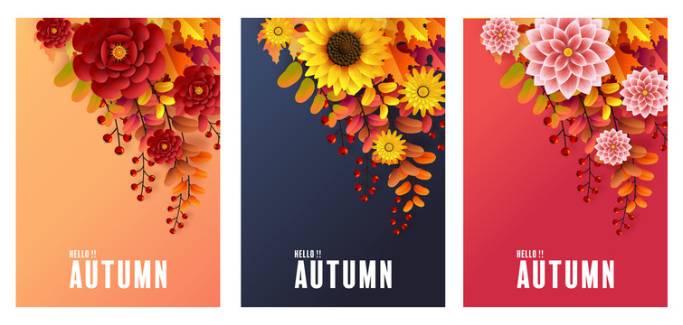 三种秋季花卉盛开争艳海报