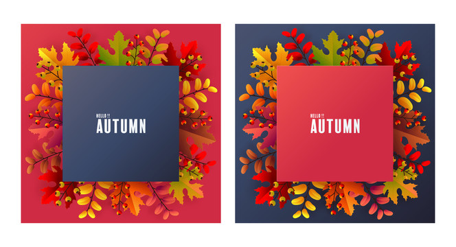 红蓝色秋季树叶果实贺图封面
