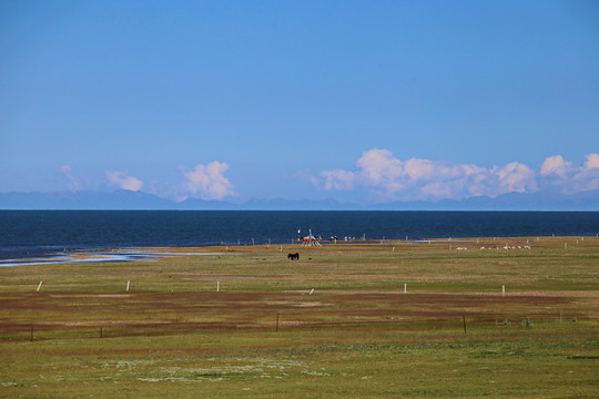 青海湖