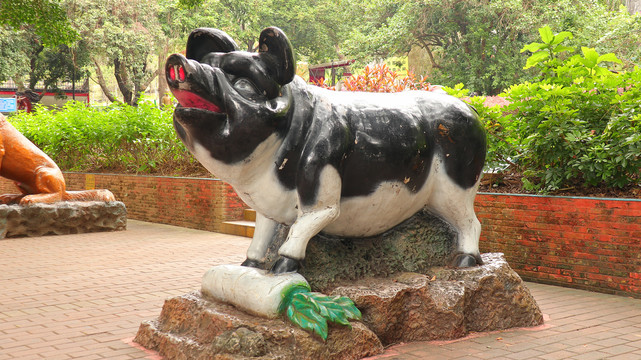 黑猪雕像深圳求水山公园