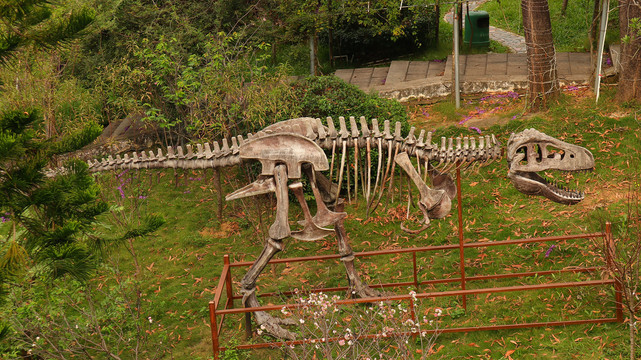 恐龙雕像深圳求水山公园
