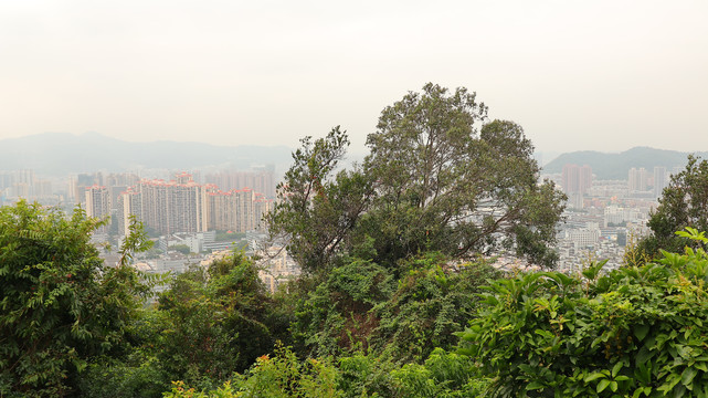 深圳南湾街道南岭村风光