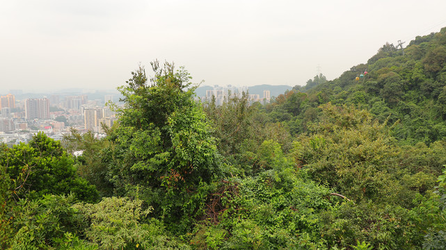 深圳南湾街道南岭村风光