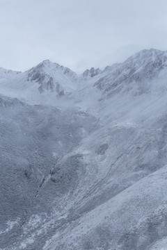 云雾雪山风光水墨画