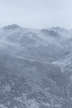 高原雪山下雪风景