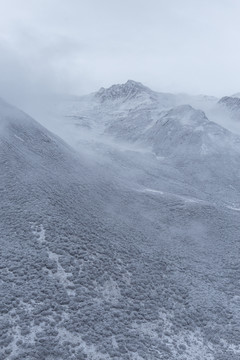 高原雪山下雪风景