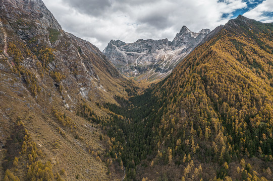 川西高原秋季高山森林自然风光