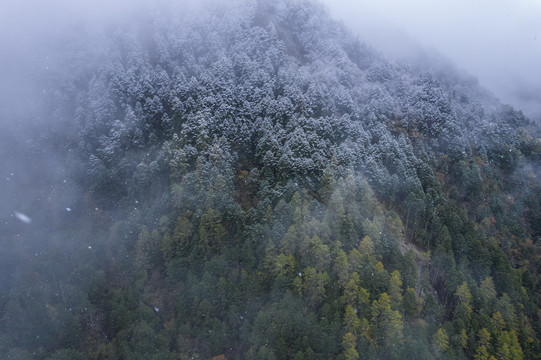 川西高原秋季高山峡谷自然风光