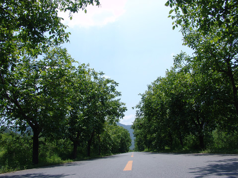 山路