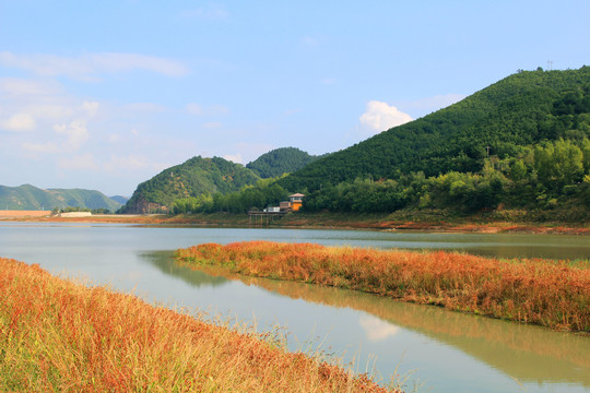 秋色秋景秋季秋天湿地池塘水库